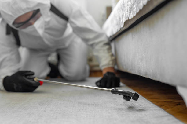 Professional Mosquito Control technician working in Start, LA