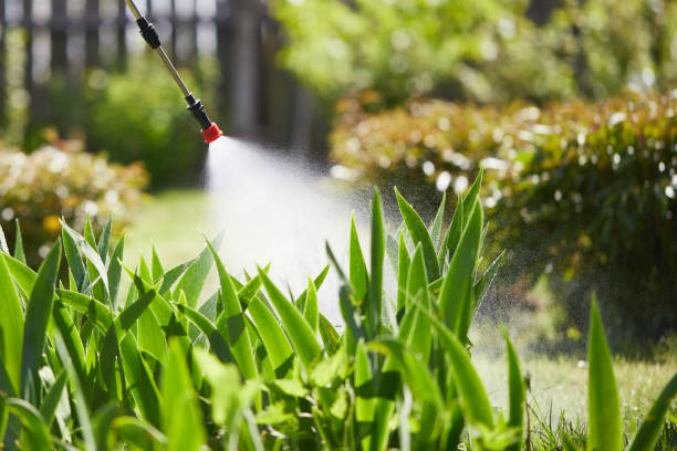 24/7 Emergency Mosquito Control experts in Start, LA